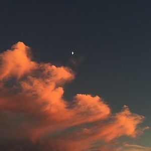 Meet your Posher, Kaylin